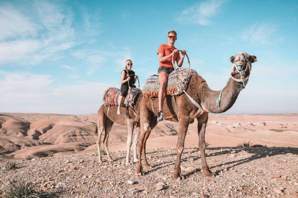 Agafay desert camel ride with berber dinner from marrakech