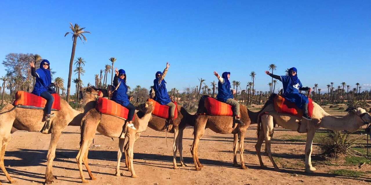 Agafay Desert Camel Ride with Berber Dinner From Marrakech