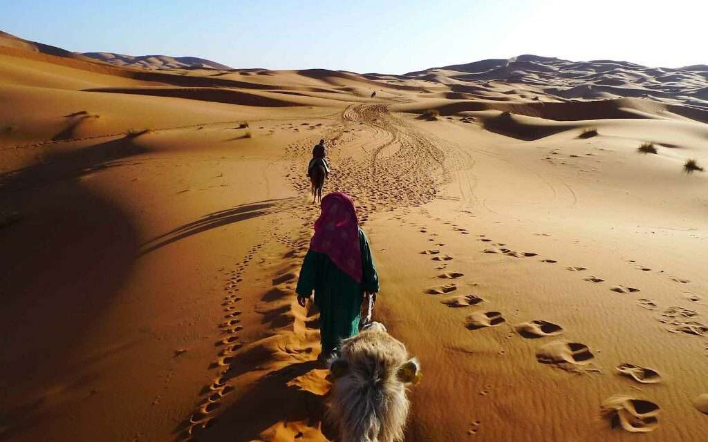 5 Days of Adventure: Marrakech to the Sahara Explore Kasbahs, Ride Camels, & Unwind